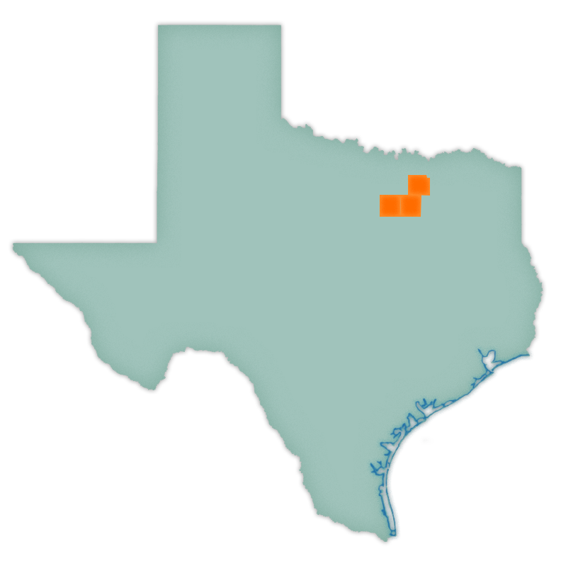 Light Blue colored shape of Texas with Dallas, Collin and Tarrant Counties highlighted in Orange